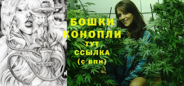 мдпв Дмитриев