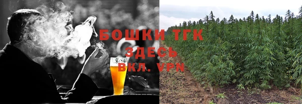 мдпв Дмитриев