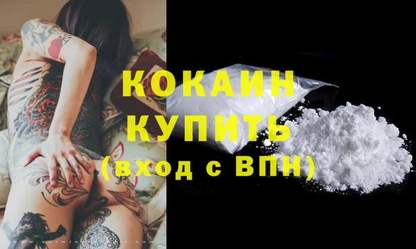мдпв Дмитриев