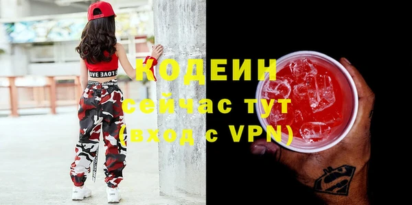мдпв Дмитриев
