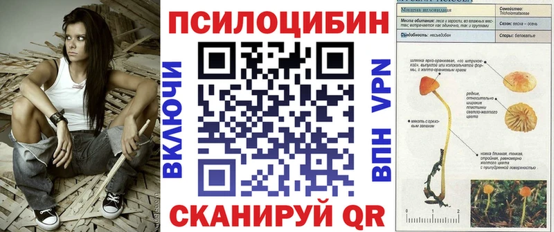 Псилоцибиновые грибы MAGIC MUSHROOMS  Купить закладки  Кохма 